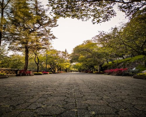 A quiet park path in Mexico City for light walking